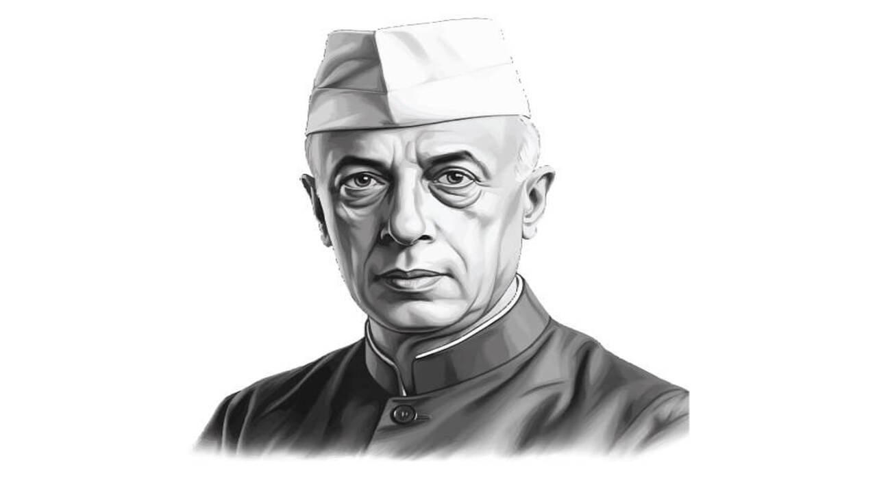 Beyond the Rose An Interpretation of Jawaharlal Nehru in Contemporary India